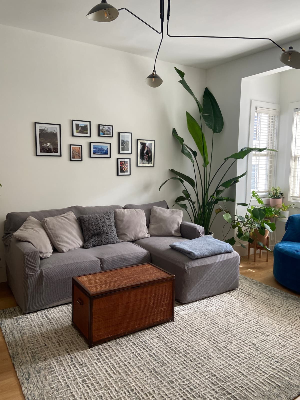 Mission Dolores Oasis - Photo 1