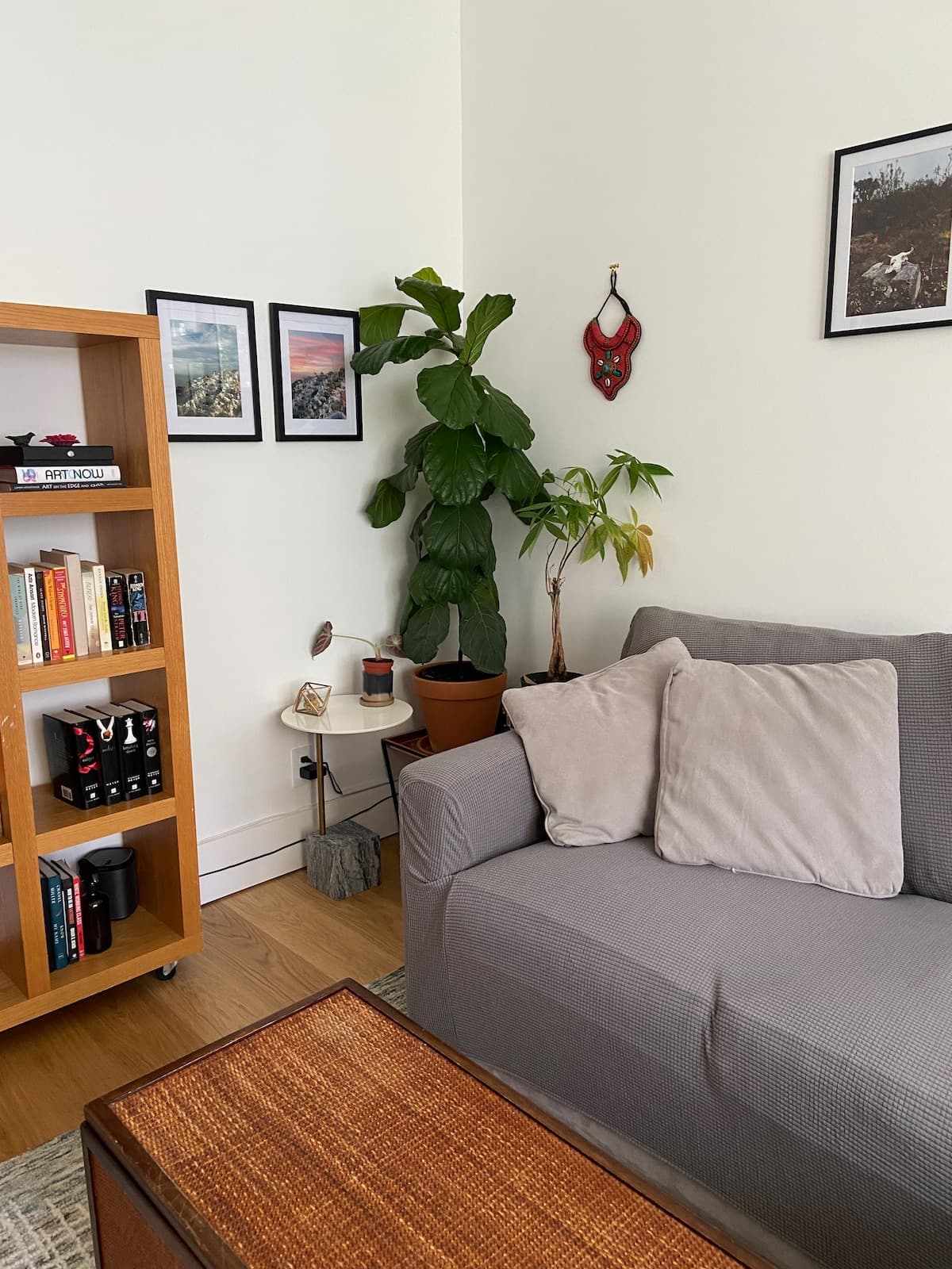 Mission Dolores Oasis - Photo 4