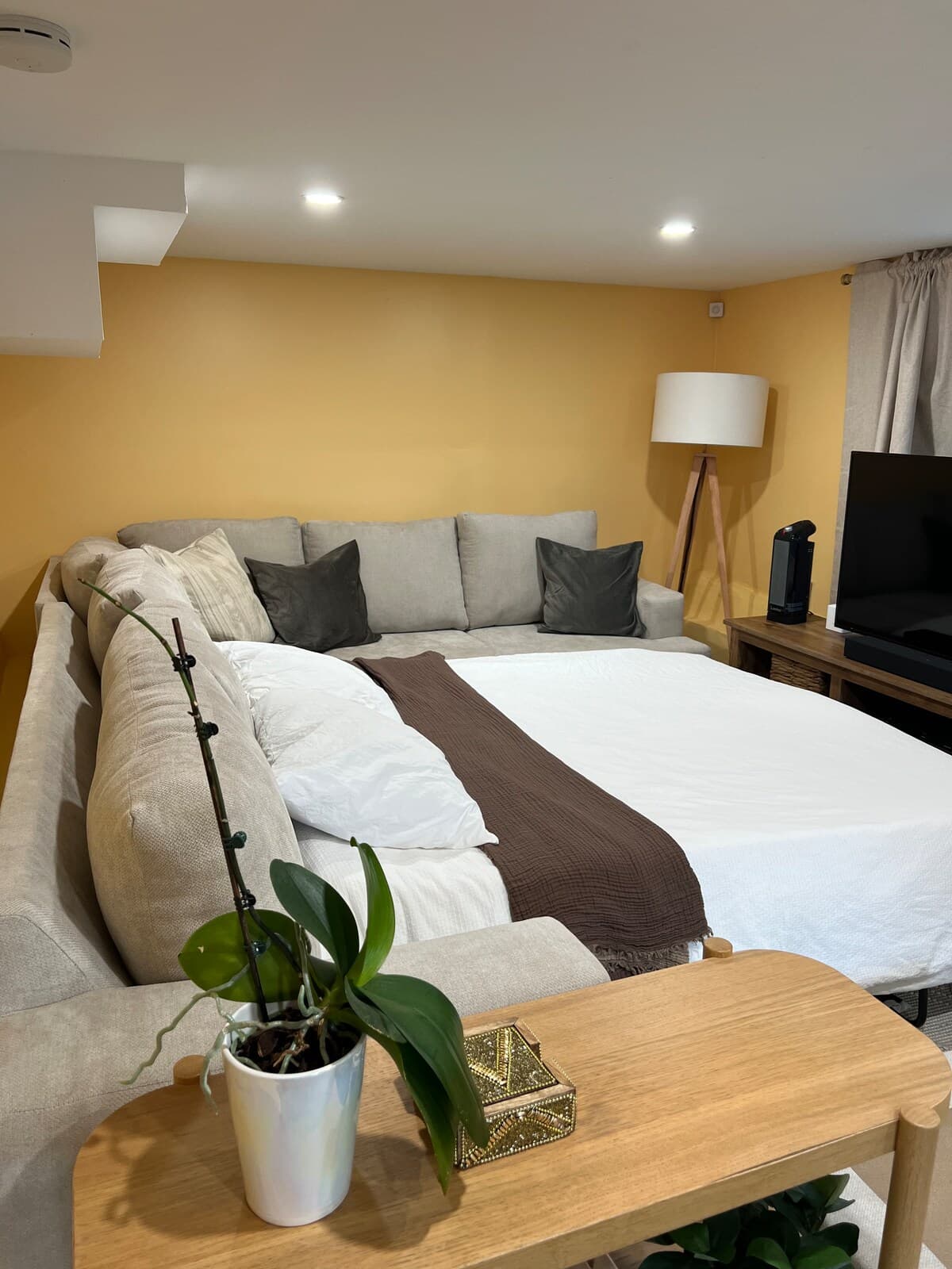 Inviting & cozy guest suite near Lake Merritt - Photo 3
