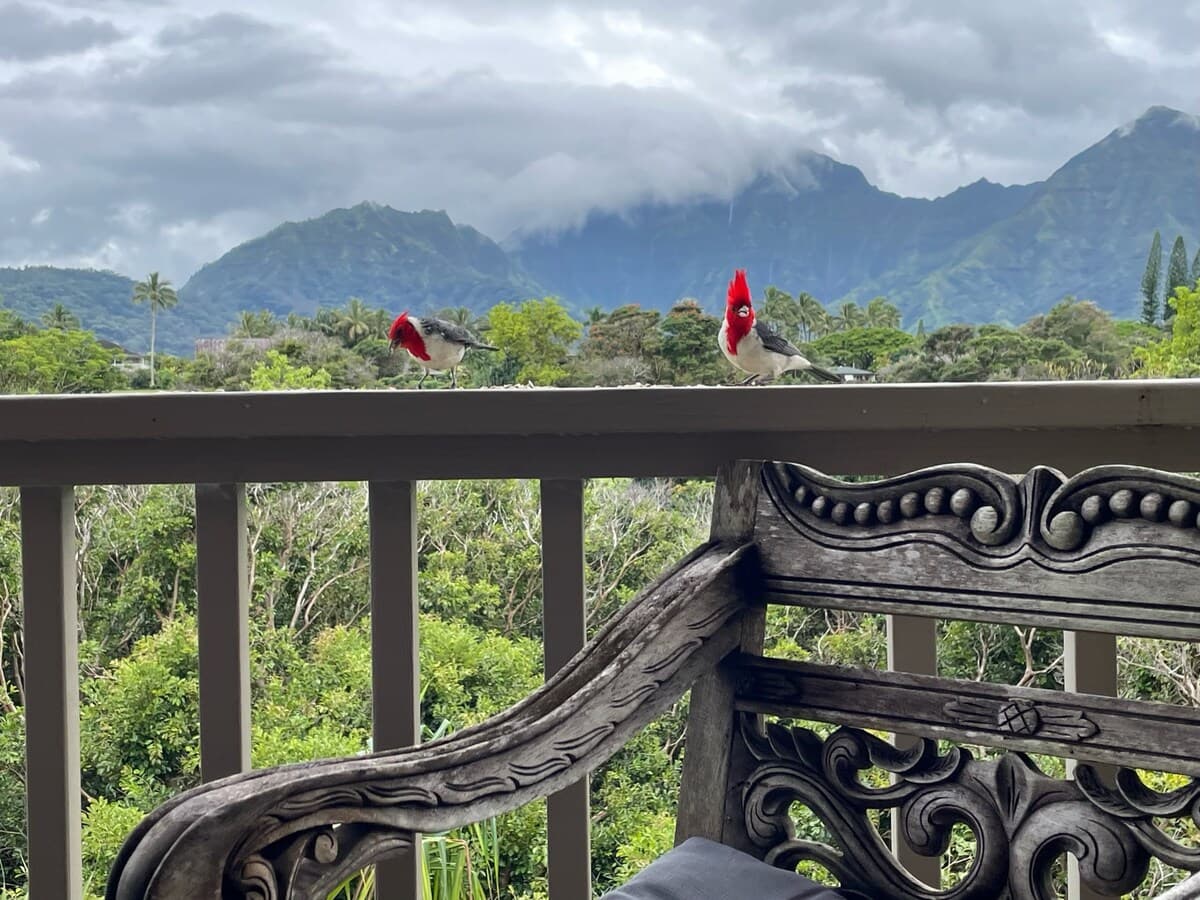 Home in Princeville · ★5.0 · 2 bedrooms · 2 beds · 2.5 baths - Photo 4