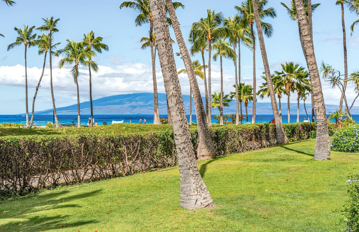 Condo in Lahaina · ★4.89 · 2 bedrooms · 3 beds · 2 baths - Photo 1