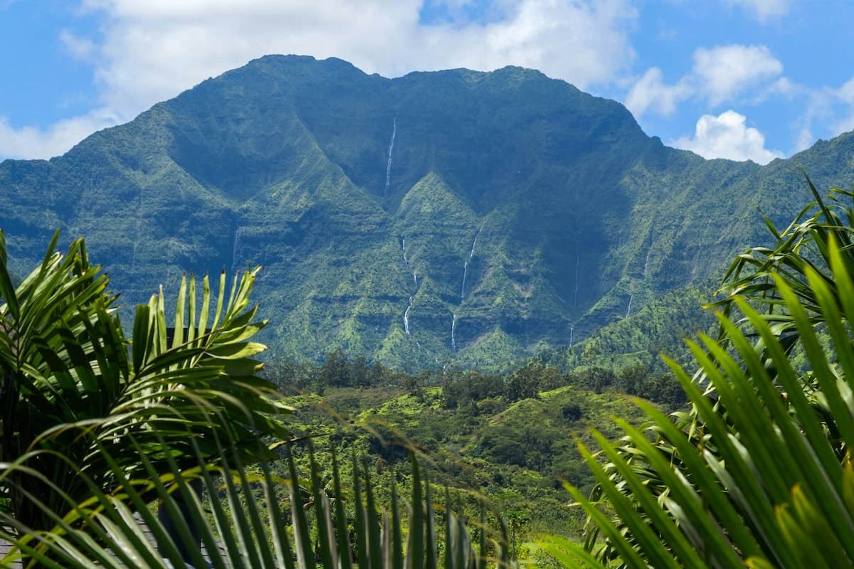 Home in Hanalei · ★4.72 · 3 bedrooms · 5 beds · 3 shared baths - Photo 3