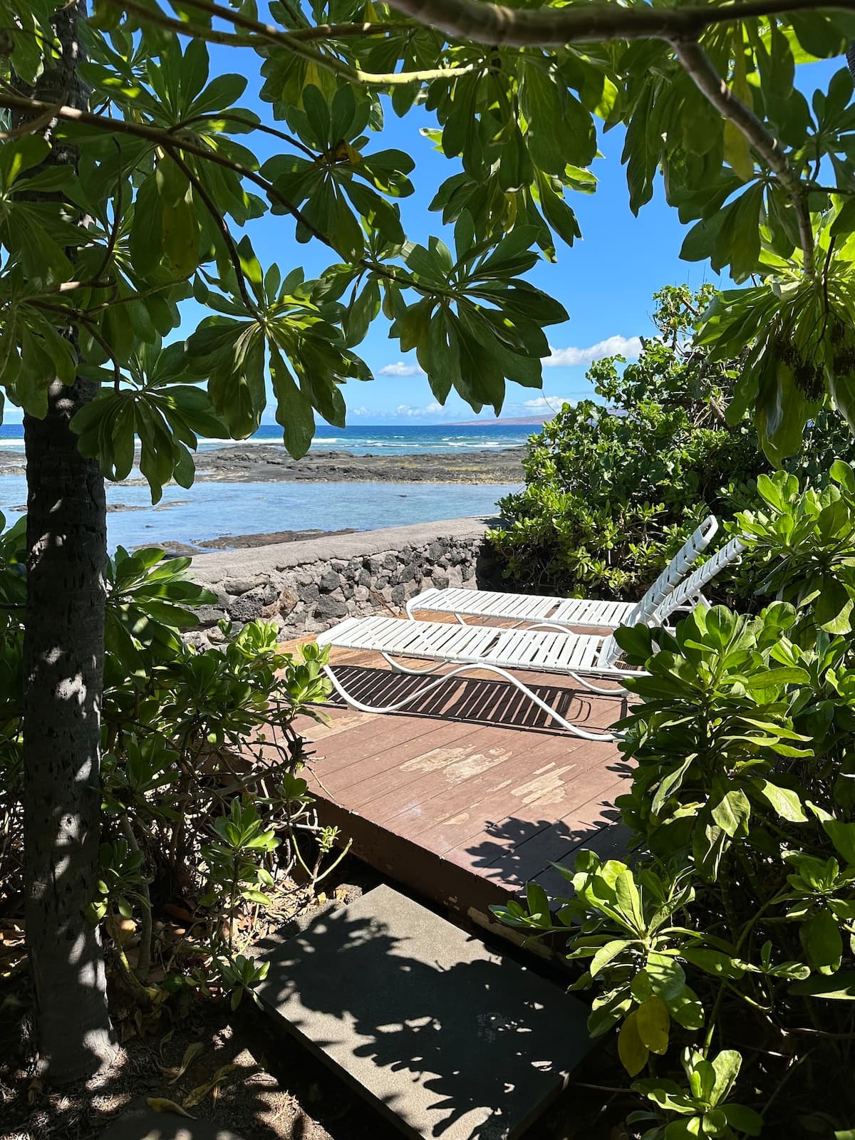 Place to stay in Puako · ★4.91 · 1 bed · 1 bath - Photo 1