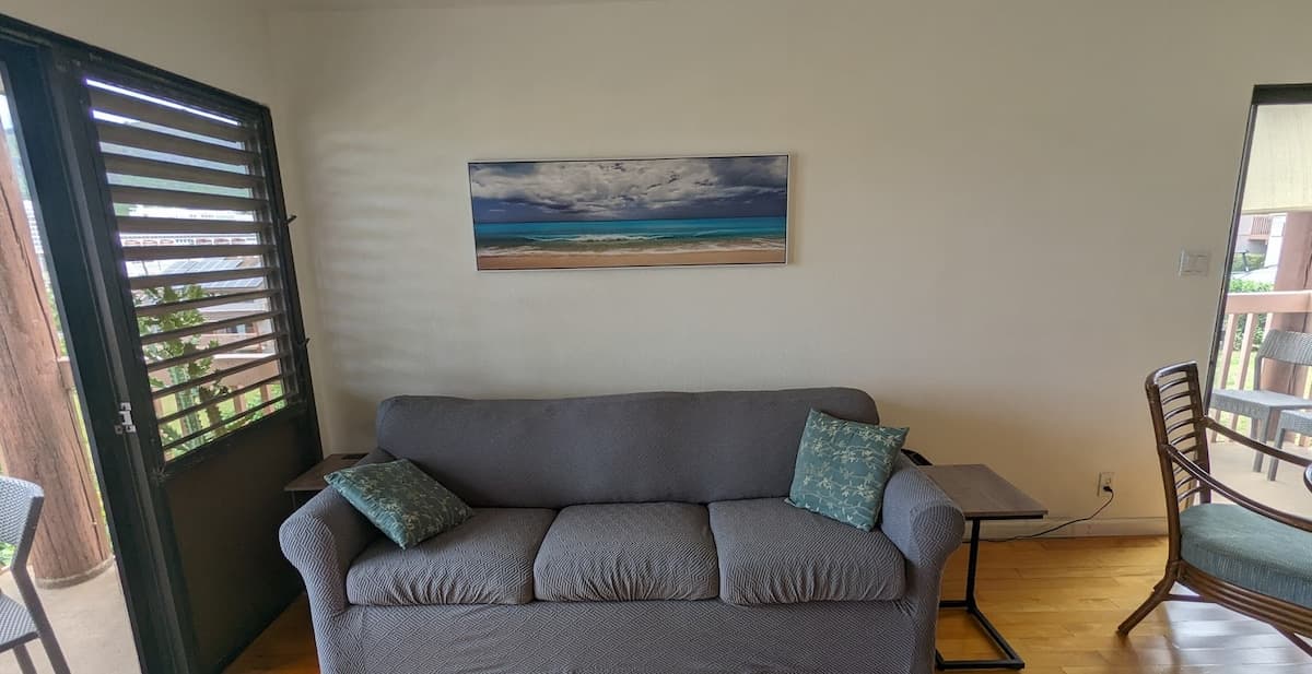 Kalapaki at Its Best - Private 2 Bedroom Condo - Photo 3