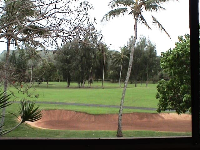 Condo in Kahuku · ★4.54 · 2 bedrooms · 4 beds · 1.5 private baths - Photo 2