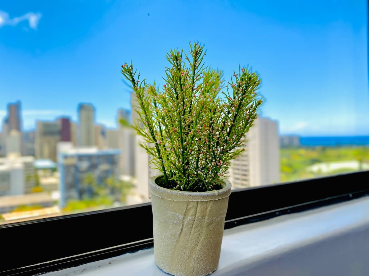 Waikiki Skyline Corner Ocean View Studio - Photo 4