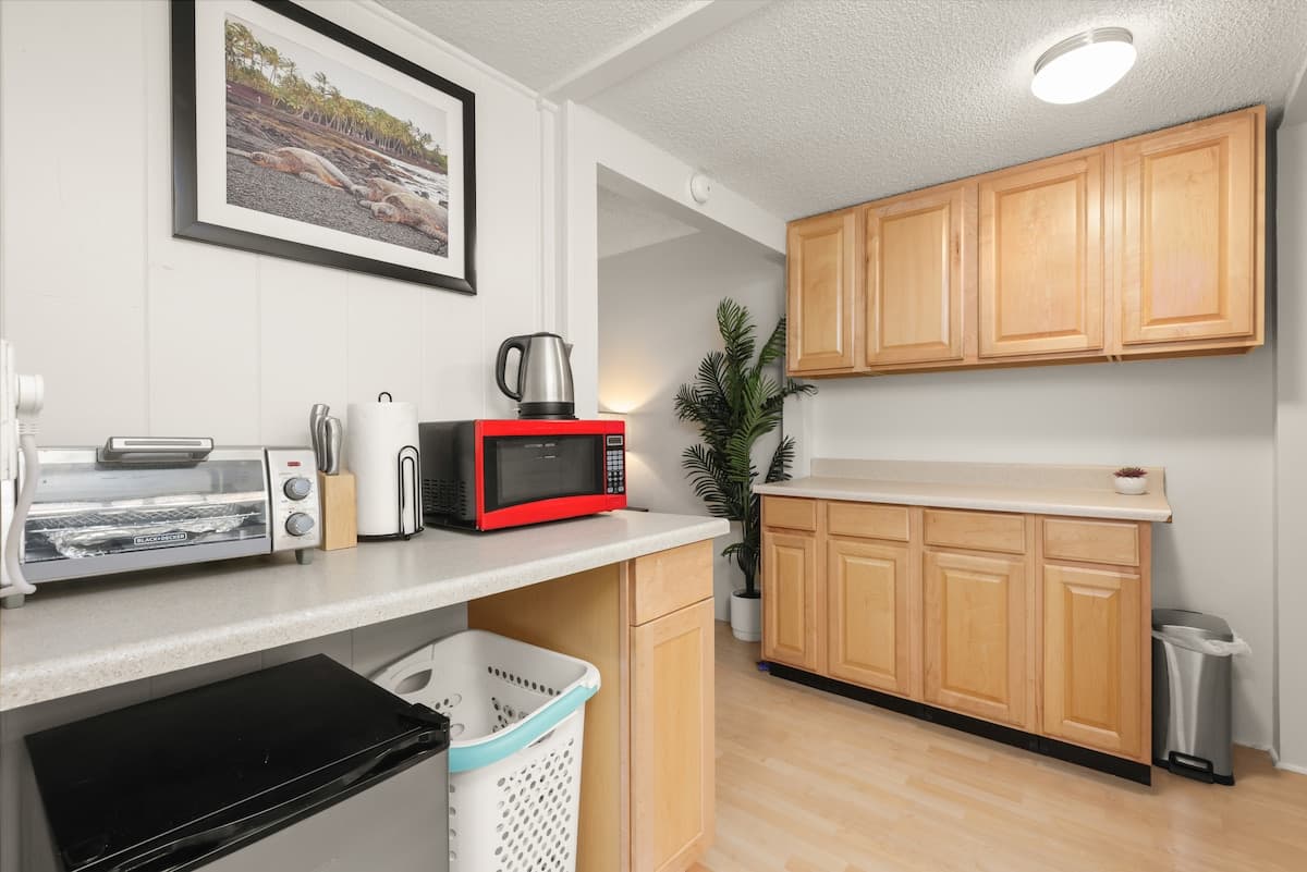 Prime Location! Double Studios TWO King Bed Suites - Photo 5