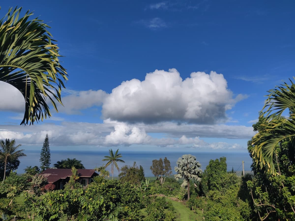 Coffee Farm Retreat - Photo 3