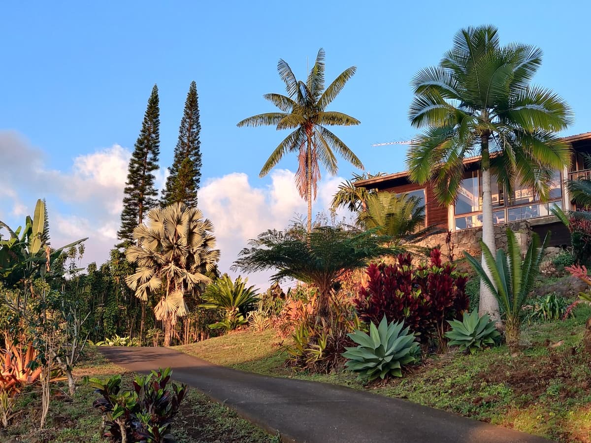 Coffee Farm Retreat - Photo 2