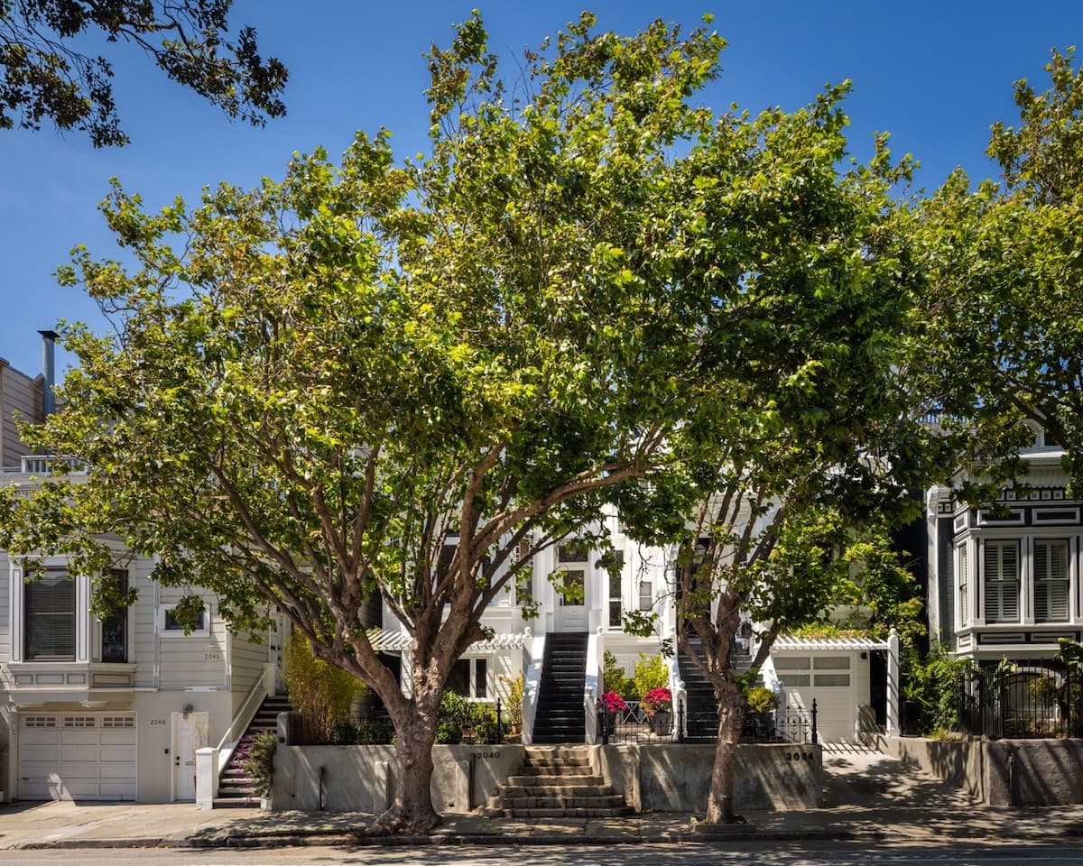1865 Grand Victorian Near Golden Gate Park - Photo 1