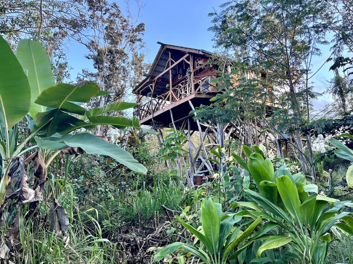 Kilauea. 30min to Volcano and Beaches.Treehouse. - Photo 3
