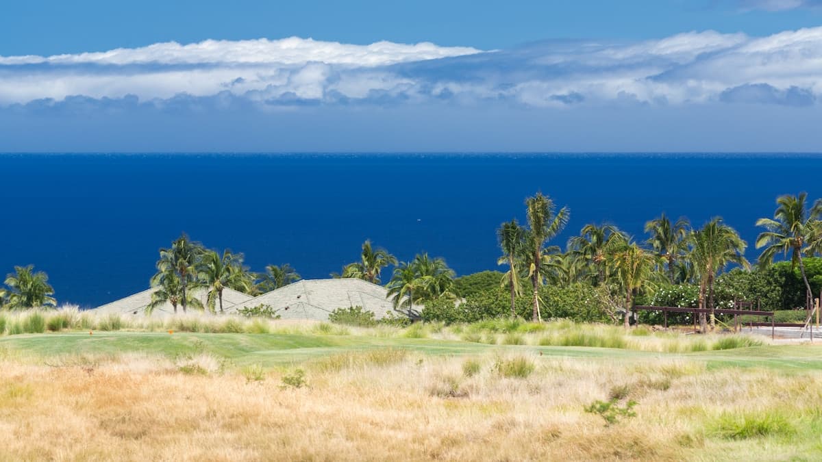 Home in Waimea · ★5.0 · 4 bedrooms · 7 beds · 4.5 baths - Photo 3
