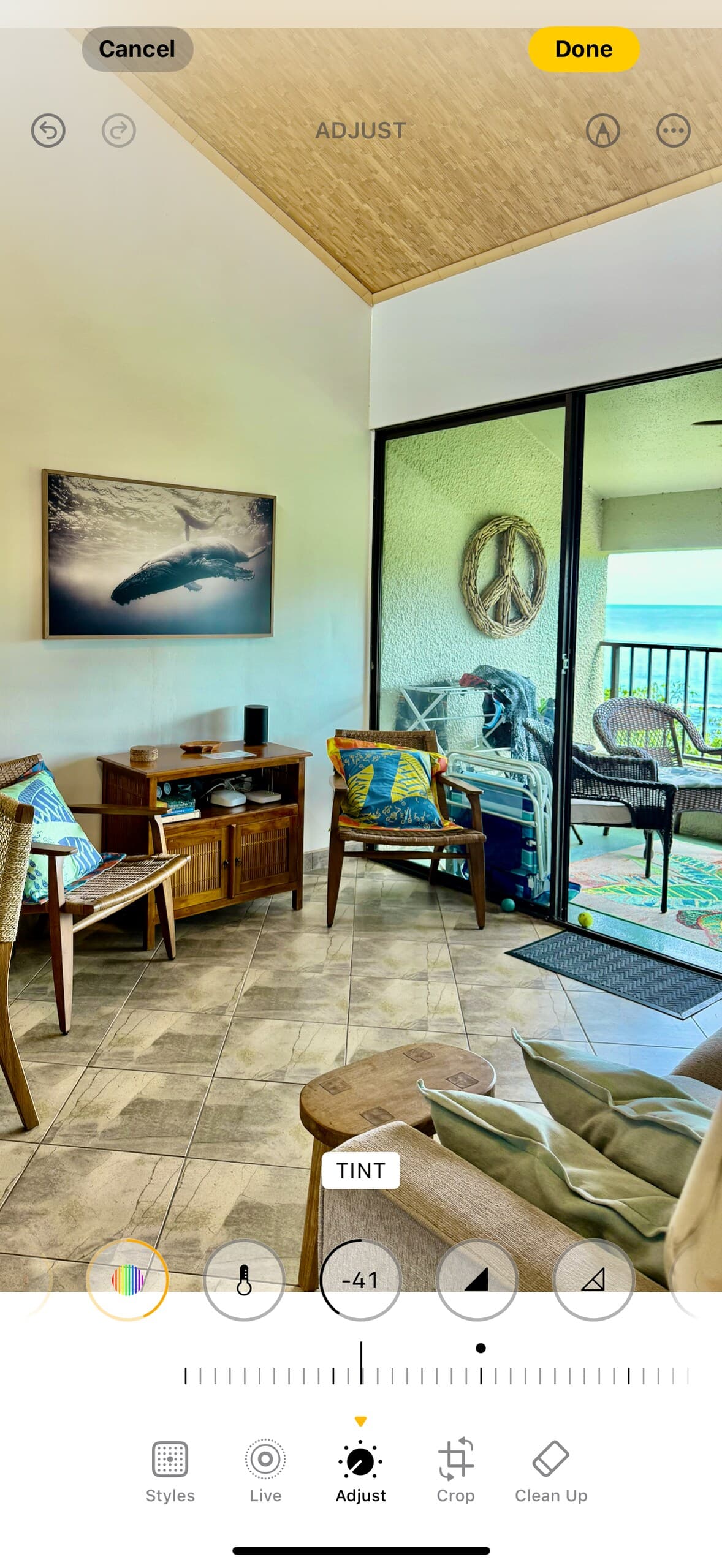 Tropical Penthouse with Views - Mauna Loa shores - Photo 4