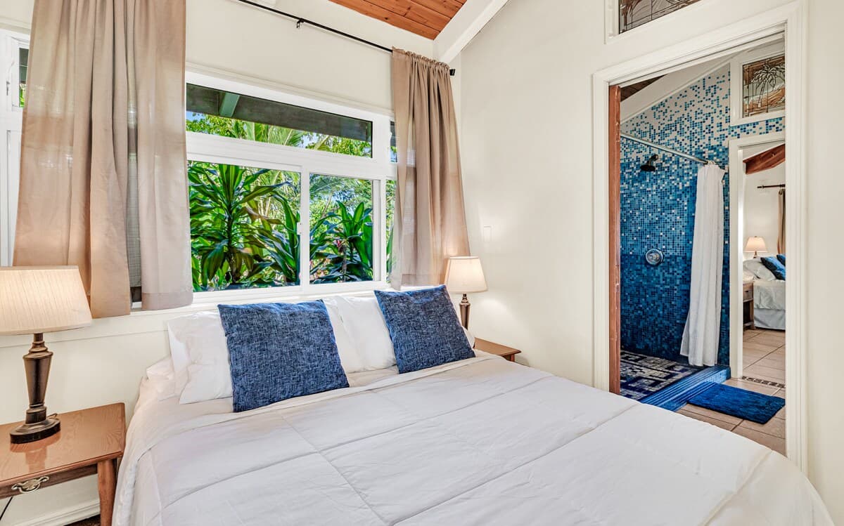 Villa in Pahoa · ★4.86 · 4 bedrooms · 6 beds · 2 private baths - Photo 4