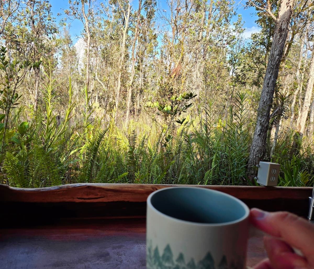 Cabin in Pahoa · ★5.0 · 1 bedroom · 1 bed · 1 private bath - Photo 2