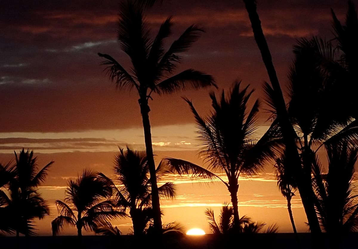 Condo in Kahuku · ★4.94 · 1 bedroom · 2 beds · 1 private bath - Photo 1