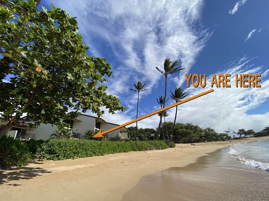 Condo in Wailuku · ★4.73 · 1 bedroom · 1 bed · 1 bath - Photo 1