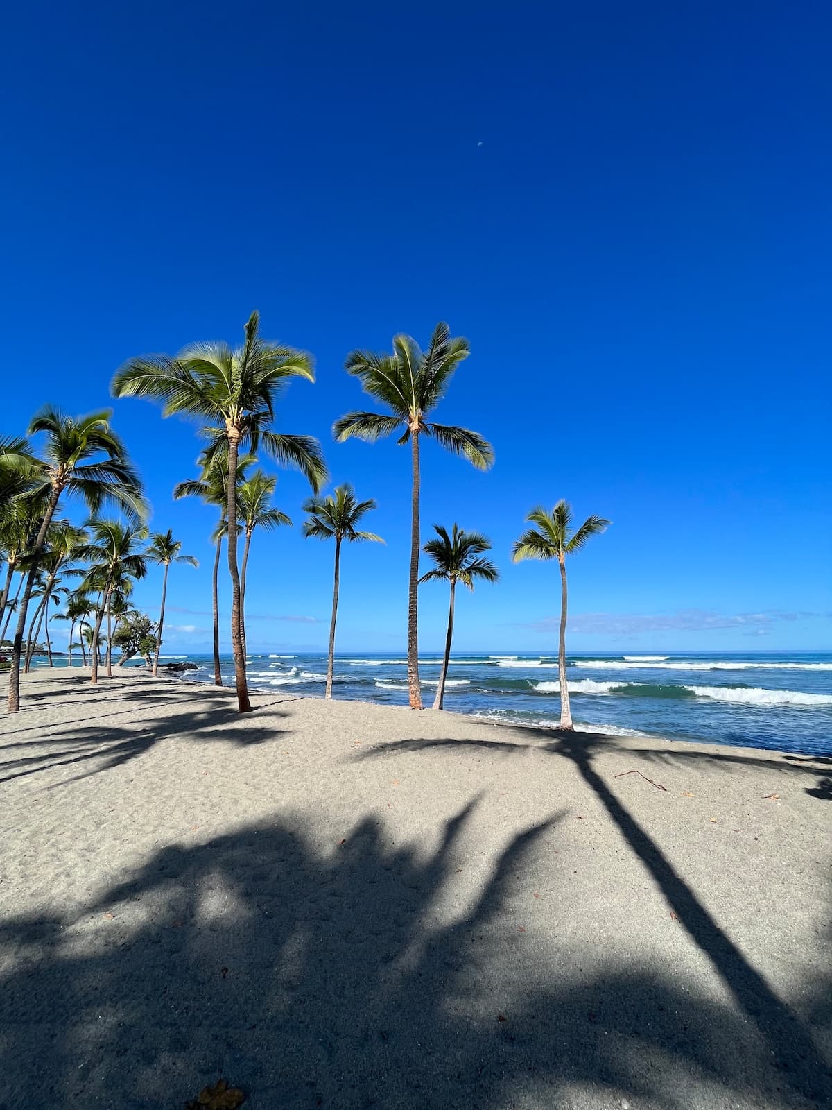 Townhouse in Waimea · ★5.0 · 2 bedrooms · 2 beds · 2 baths - Photo 1