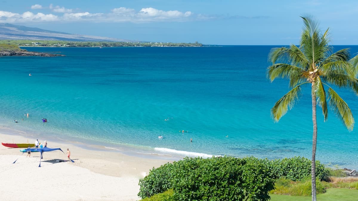 Home in Kailua-Kona · ★4.82 · 5 bedrooms · 7 beds · 3.5 baths - Photo 5