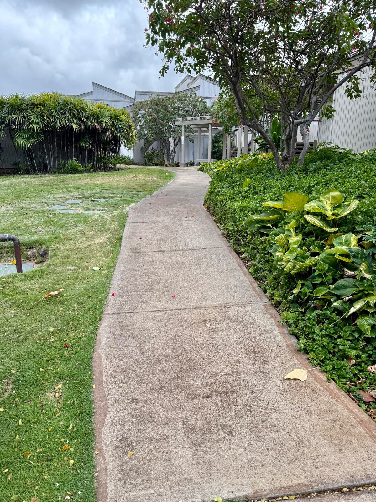 Condo in Wailea · ★5.0 · 1 bedroom · 1 bed · 2 baths - Photo 3