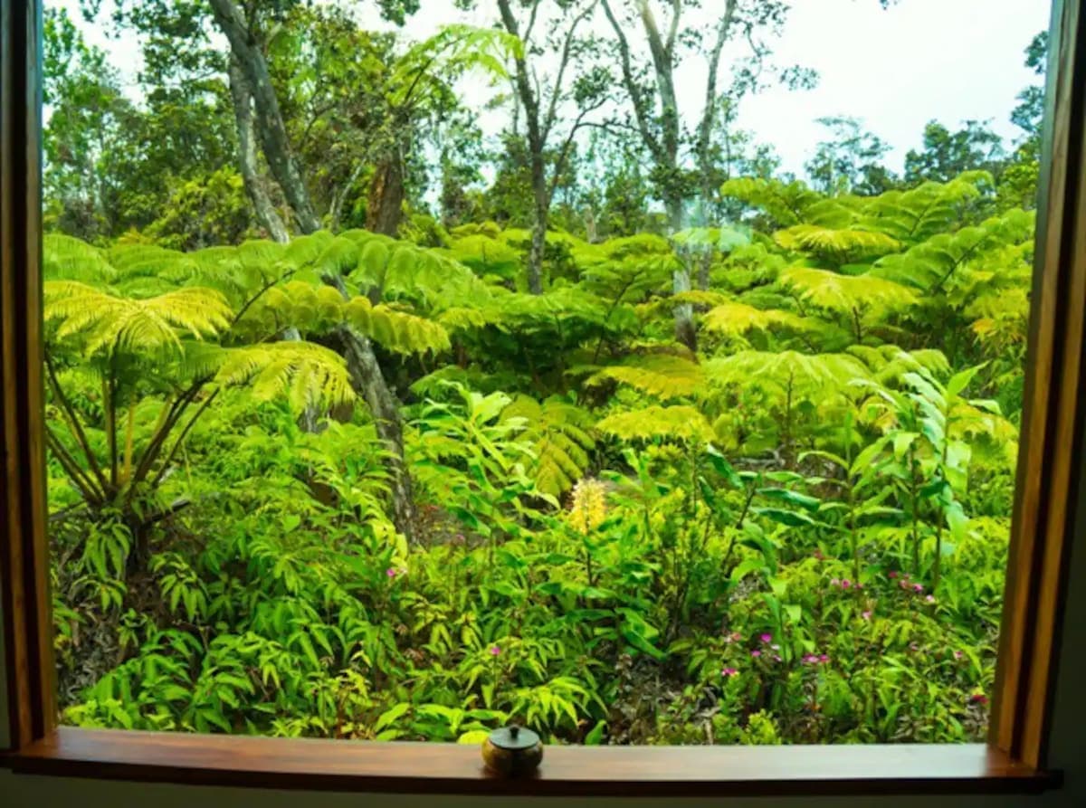 Volcano Mountain Haven -Minutes from National Park - Photo 2