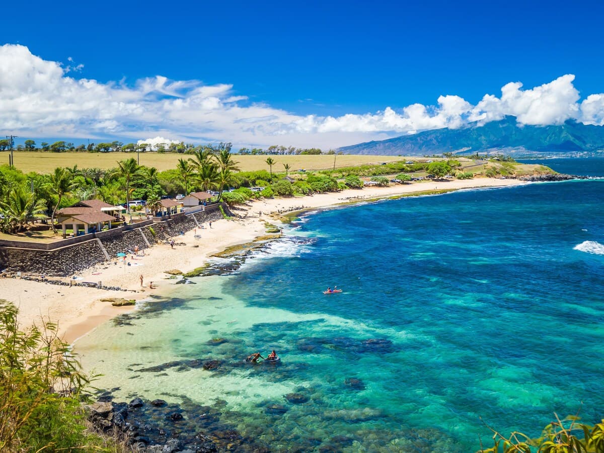 Spectacular OCEANFRONT Only 10 Steps From Beach - Photo 3