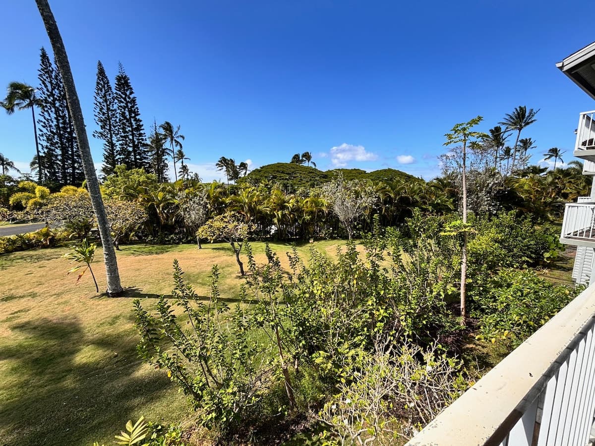Honeymooners Getaway Resort North Shore! Sleeps 2 - Photo 4