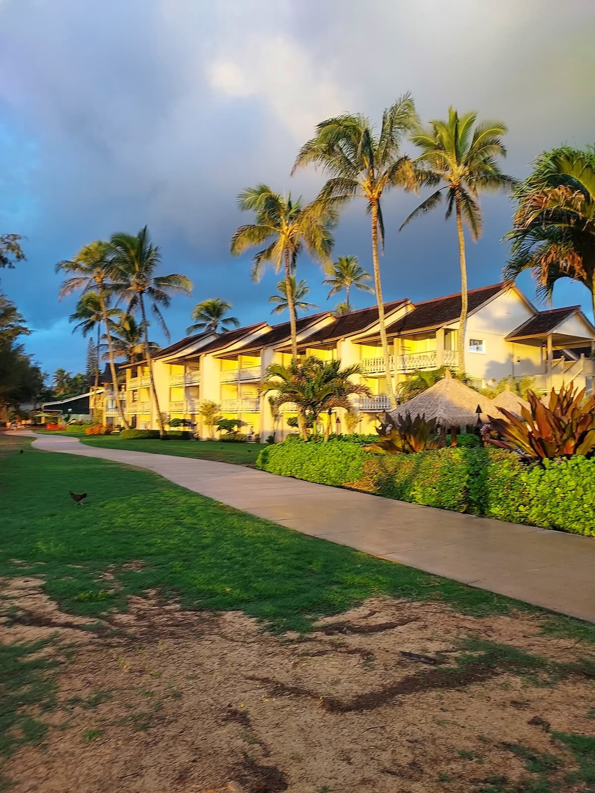 Condo in Kapaa · ★4.84 · Studio · 1 bed · 1 private bath - Photo 5