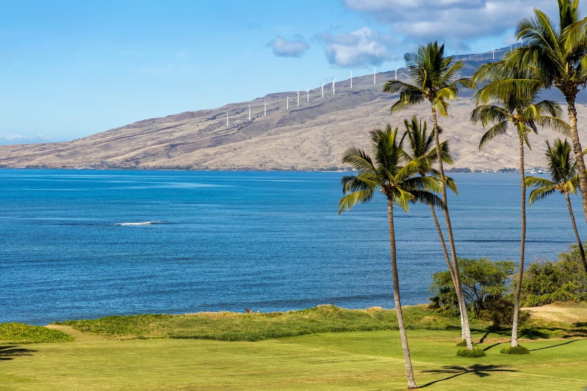 Condo in Kihei · ★4.63 · 1 bedroom · 1 bed · 2 private baths - Photo 5