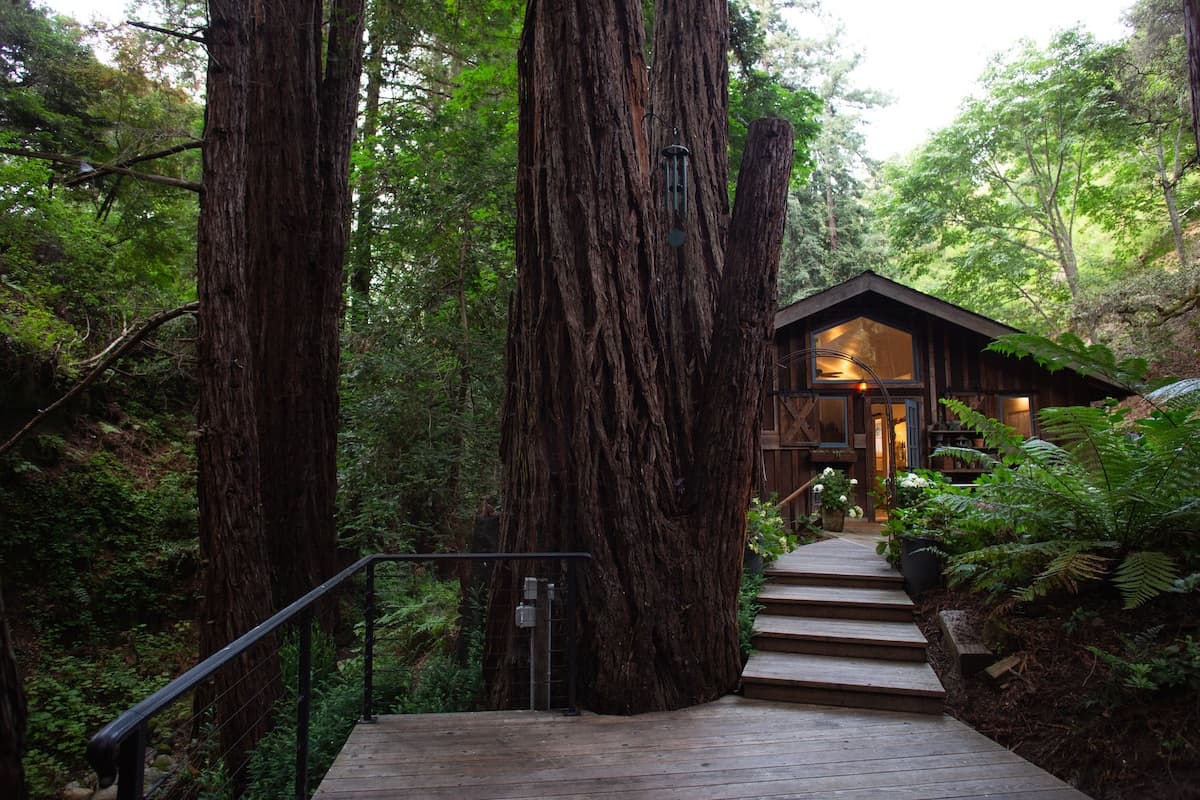 Serene Redwood Retreat with Creek & Decks - Photo 1