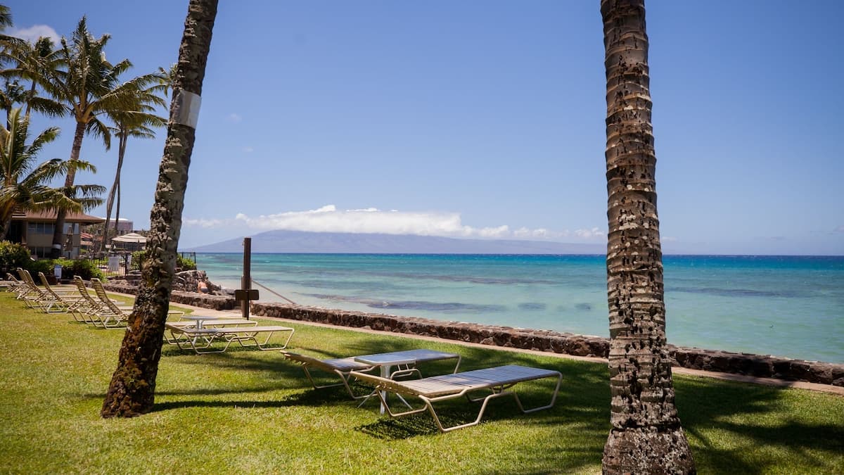 Condo in Lahaina · ★4.98 · 1 bedroom · 1 bed · 1 bath - Photo 3