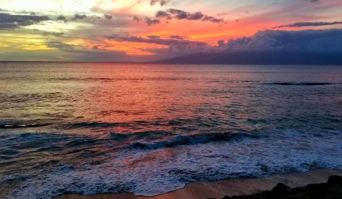 Condo in Lahaina · ★4.98 · 1 bedroom · 1 bed · 1 bath - Photo 2