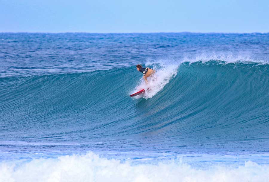 Guesthouse in Holualoa · ★4.92 · 1 bedroom · 3 beds · 1 bath - Photo 2