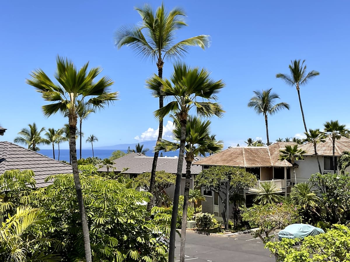 Condo in Kihei · ★4.95 · 1 bedroom · 1 bed · 1 private bath - Photo 2