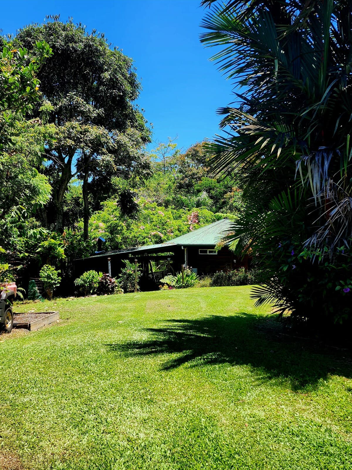 Zen Treehouse Private Retreat & Farm Stay - Photo 2