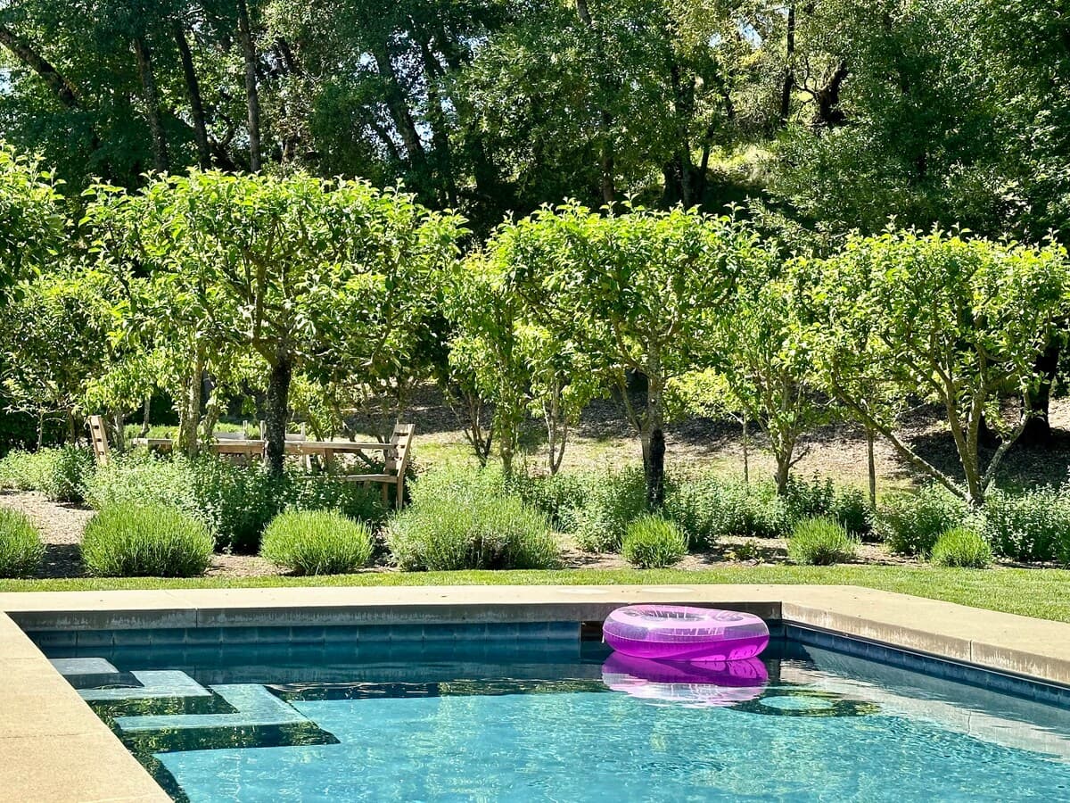 Gated 5-Acre Retreat, Walk to Wineries - Photo 3