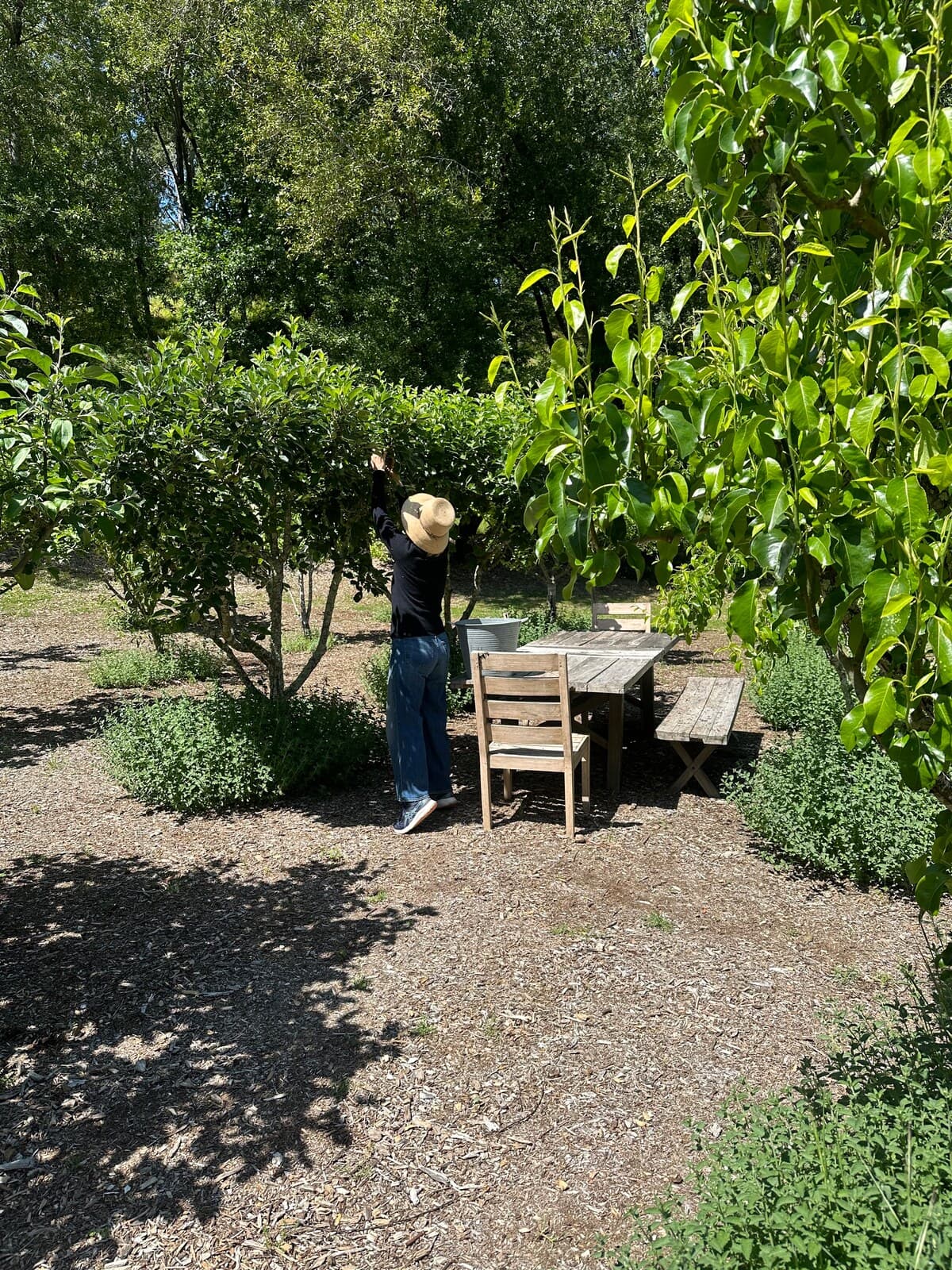 Gated 5-Acre Retreat, Walk to Wineries - Photo 5
