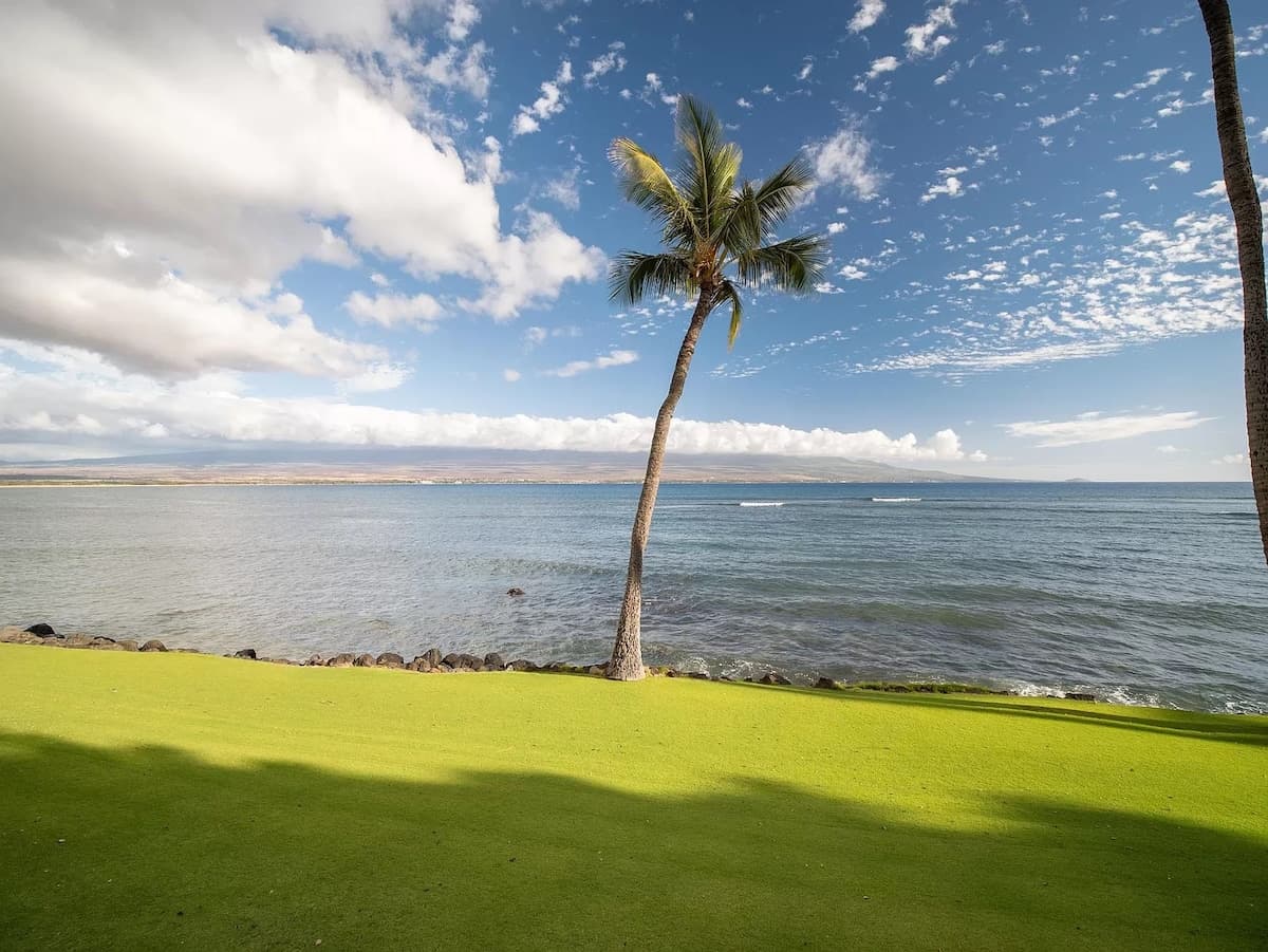 Condo in Wailuku · ★4.96 · 2 bedrooms · 2 beds · 2 baths - Photo 1