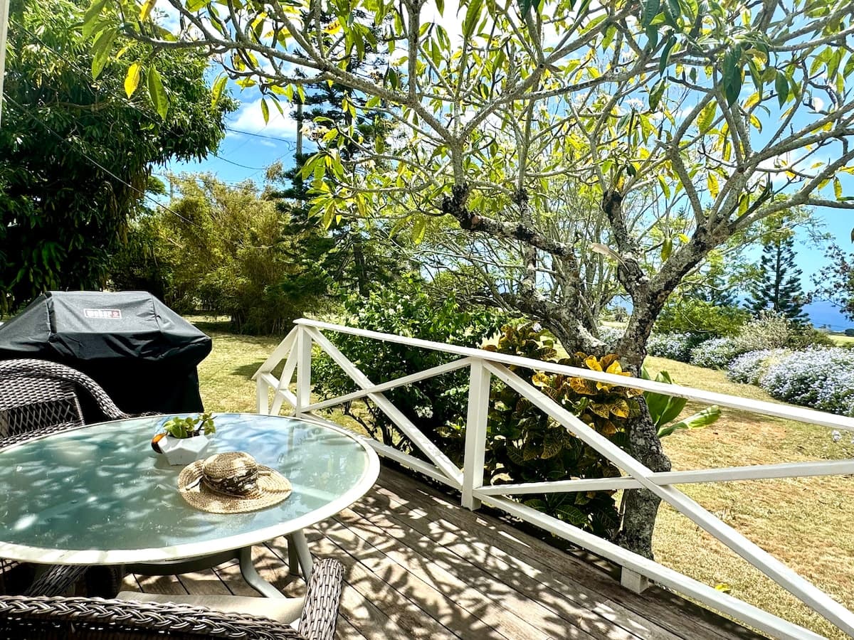 Ocean View Cottage, Hot Tub, Private Guest Ranch - Photo 4