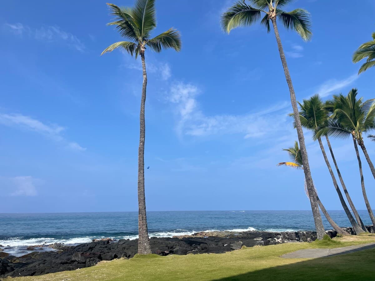 Condo in Kailua-Kona · ★4.87 · 1 bedroom · 2 beds · 1 bath - Photo 1