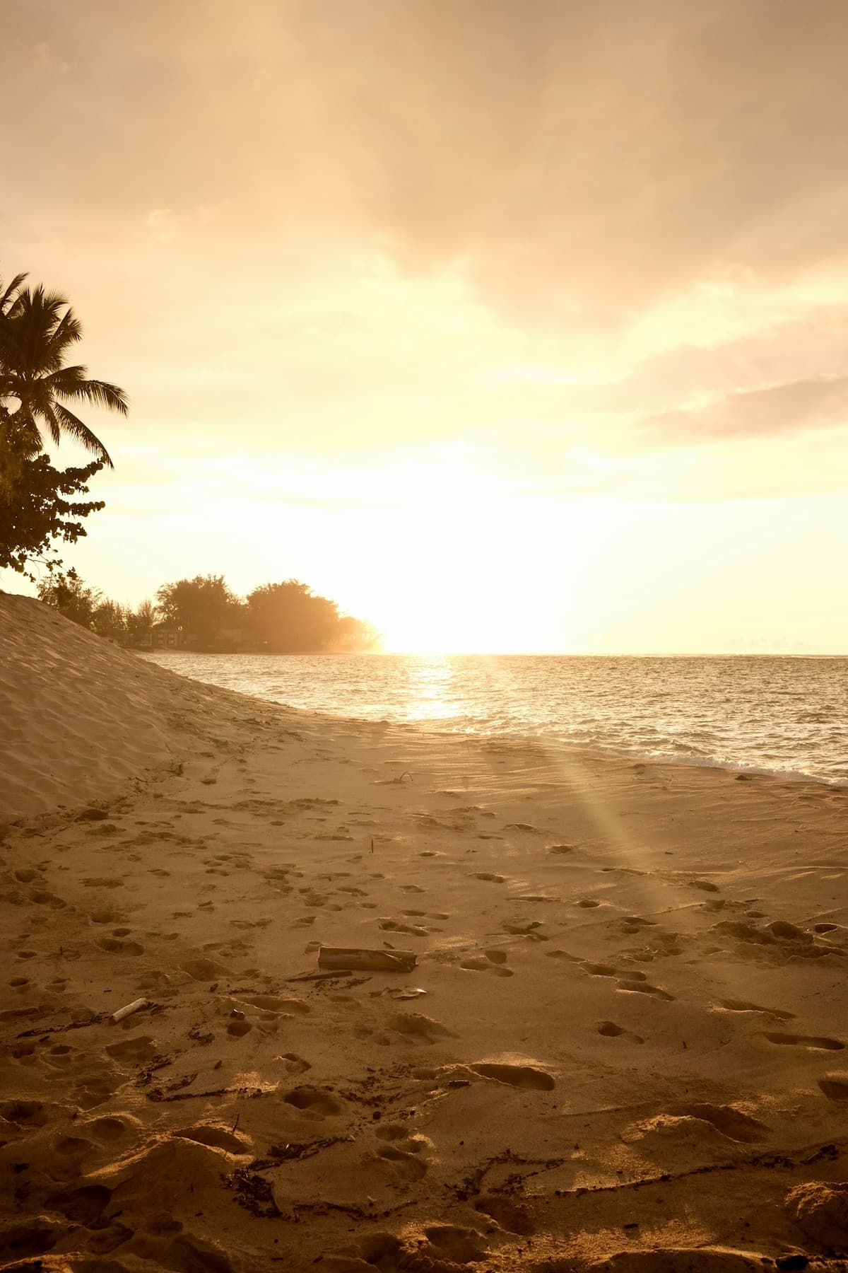 Oceanfront Cottage - 100 Foot Wave Getaways - Photo 4
