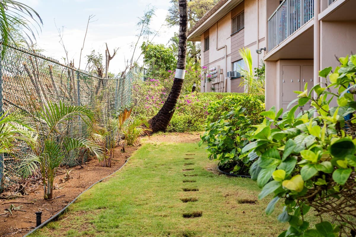 Condo in Kihei · ★4.79 · 1 bedroom · 2 beds · 1 private bath - Image 27