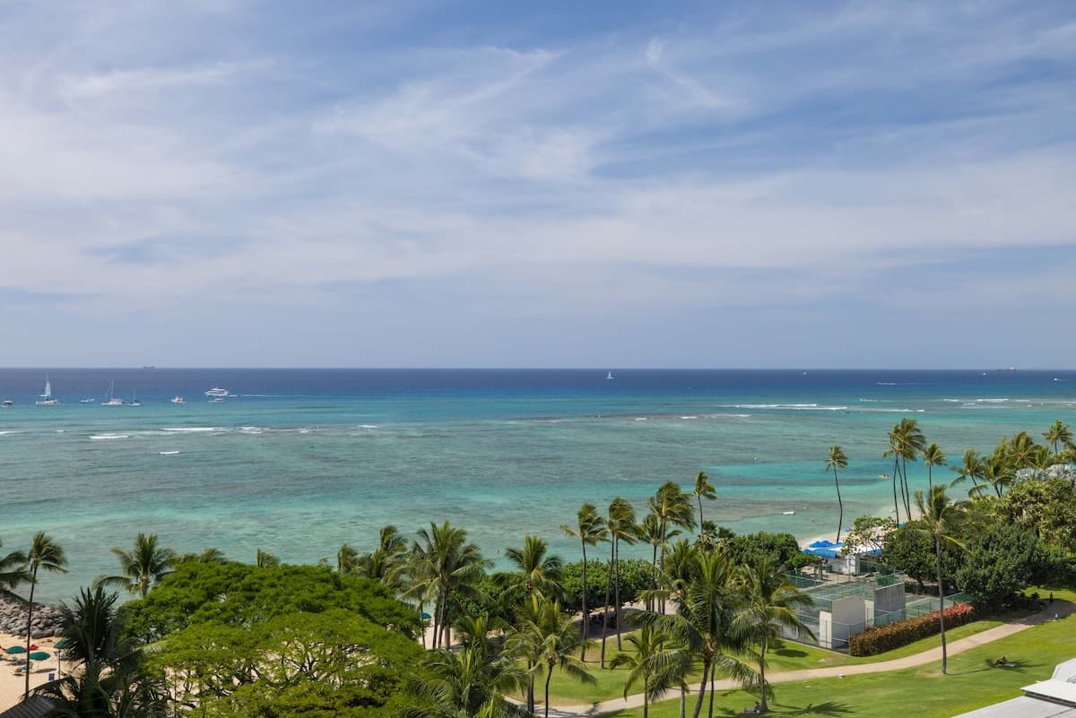 Waikiki Shore Ocean View*Never ending summer deal* - Photo 4