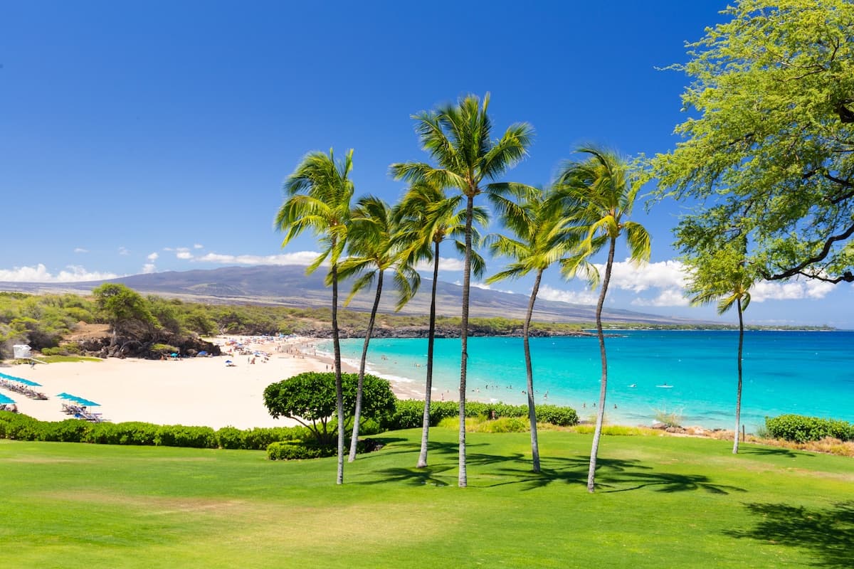 Condo in Waimea · ★5.0 · 2 bedrooms · 4 beds · 2 baths - Photo 1
