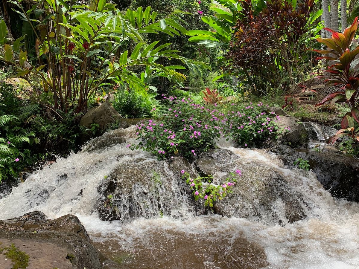 Inspired 1-BR, Magic Gardens, Stream and Waterfall - Photo 1