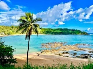Home in Kilauea · ★4.89 · 4 bedrooms · 5 beds · 2 baths - Photo 1