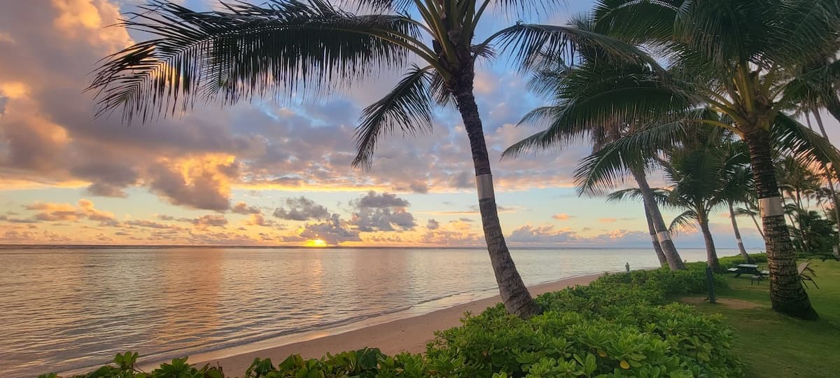 Aloha Paradise Beach - Photo 1