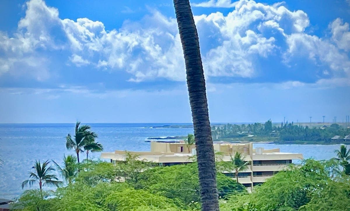 1bd/2 full ba spacious panoramic ocean/mtn view! - Photo 1