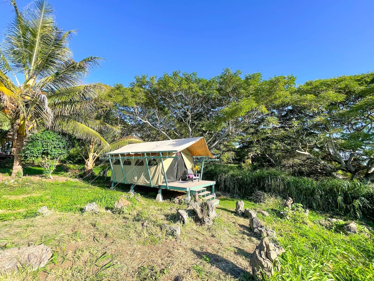 Monkeypod Canopy with Shared Kitchen and Bath - Photo 1