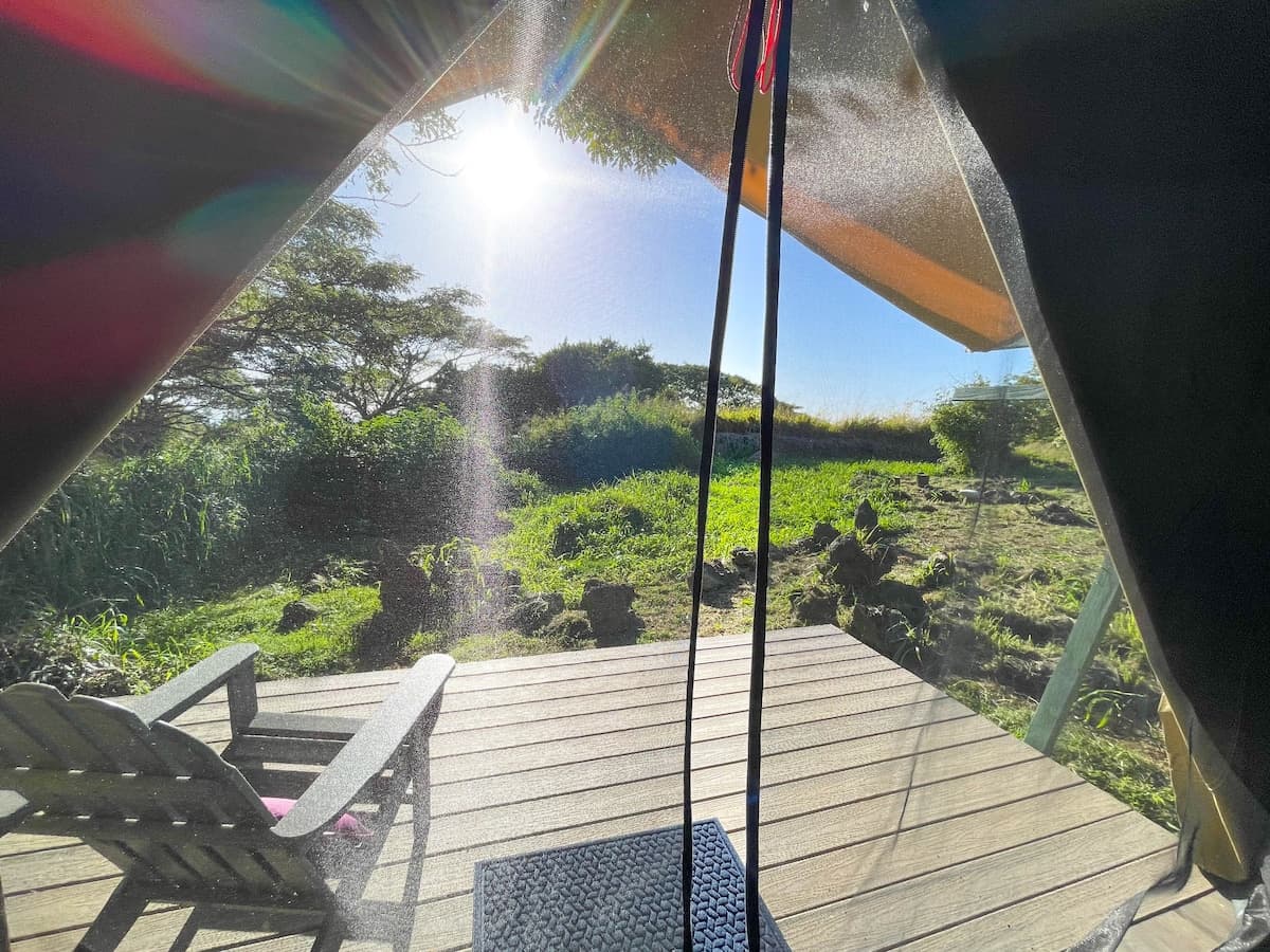 Monkeypod Canopy with Shared Kitchen and Bath - Photo 4
